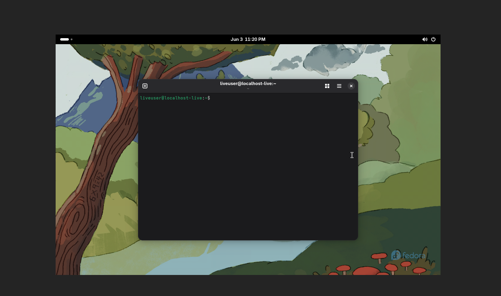 virtual machine VNC
